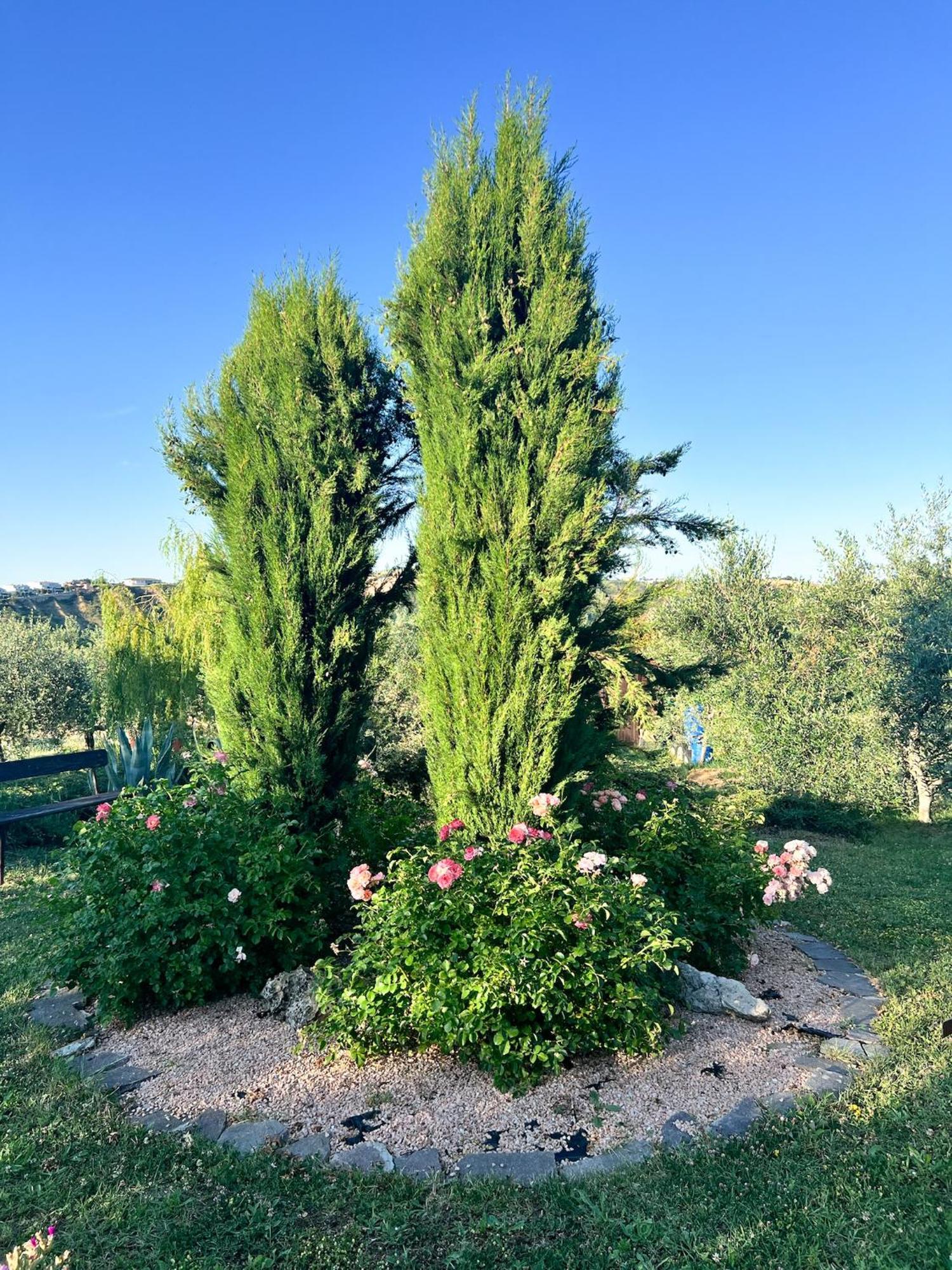Relaxing Farmhouse San Marino Exterior foto